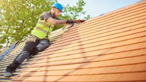 Best Solar Panel Roofing Installation  in Centreville, MI
