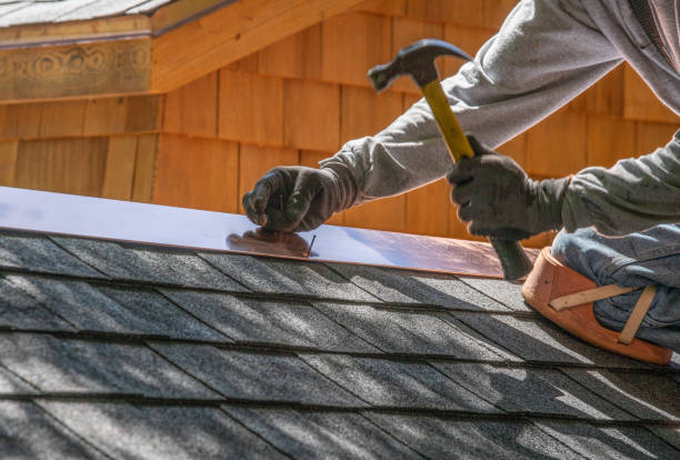 Best Roof Ventilation Installation  in Centreville, MI