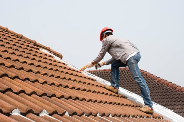Best Roof Insulation Installation  in Centreville, MI